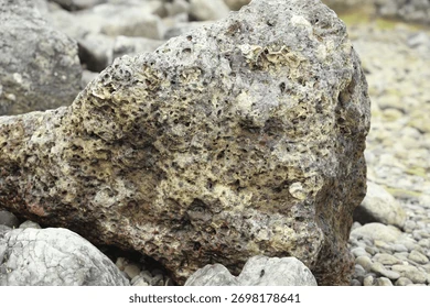 Mineral Analysis